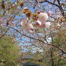 원각만물 | 수원. 봉녕사 비구니사찰 (사찰기행) 36.