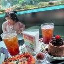 무지개가든 | 아쿠아가든 일산 내돈내산 후기｜아이랑 가기 좋은 대형 수족관 카페