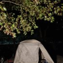 꿀벌랜드 이미지