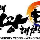 용인대영광태권도장 이미지