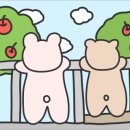 (주)약이되는밥상
