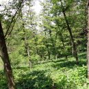 탑동 다기능회관 이미지