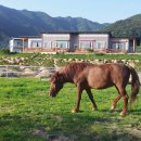 언덕위의 작은집 이미지