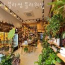 더블라썸플라워샵 이미지