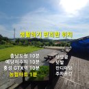 홍성 실속형 전원주택 / 좋은입지/ 태양광,작은텃밭,잔디마당,창고,주차장,정남향 2억2000만원 이미지