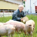 옥자농장 이미지