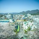 제황산모노레일 이미지