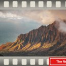 신화메디컬 이미지