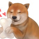 글라스미 안경 렌즈미 반여점 이미지