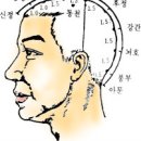 두통에 좋은 지압점 이미지