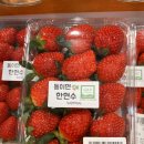 한백베리농원