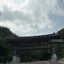 산너머대봉시곶감 | 경북 예천 용문사 템플스테이