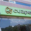 커즈펫 네이버블로그