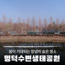 명덕지 | 창녕 숨은 명소, 봄이 기대되는 명덕수변생태공원 산책 후기