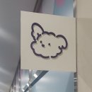 아지트댕댕 이미지