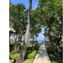 쿤시 | [롬복 승기기] 퀀시/쿤시 빌라(Qunci villas) 내돈내산 후기