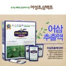 백현숙의어성초사랑