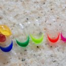 네일플로르 이미지