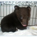 부천혜림원 이미지