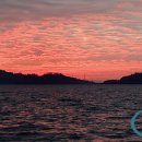 대전리목장 이미지