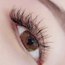 수예블리 이미지