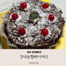 청주강내도서관 | 청주 가성비 초코케이크 강내농협베이커리 초코케이크 솔직 후기
