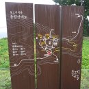 금오도 야영장 이미지
