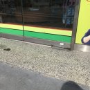 경성약국 이미지