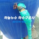 서부초등학교 정문 Daum카페