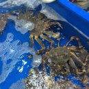 수산진명 이미지