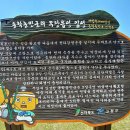 24년9월24일 고창 메밀꽃 학원농장,무장읍성,두암초당,병바위 이미지