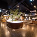 더파티스타 이미지