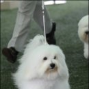 유어라운지 이미지