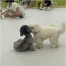 카페100 - 원주시 만대로 184 | 카페100
