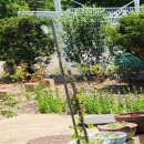 연세드림치과의원 이미지