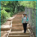 우면산 (남태령 정각사) 이미지