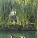 중국어 /강좌번호 15 | [중국/상해] 상하이 근교 수향마을 호텔 후기 &#39;우전 홈스테이(Wuzhen Homestay) 15번 숙소&#39;