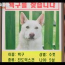백구스포츠