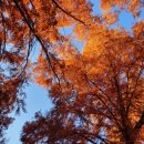 사림동196 | 카페) 창원 사림동 카페 그래시헤이 (내돈내산후기)