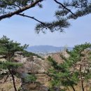 양평밸리관광펜션 이미지