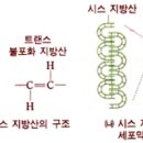 새롬의원 이미지