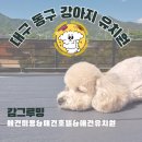 캄그루밍 이미지