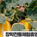 장학전통체험휴양마을 이미지