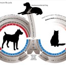 효천약국 이미지