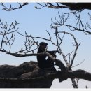 [4월] backPacking 변산국립공원 탐방(쇠뿔바위봉,원효굴,부사의방,투구봉,포갠바위)-(부안)~마대장님-1 이미지