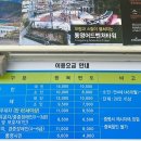 서호동-72 네이버블로그