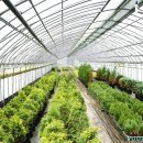 강선목장 이미지