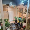 마미캠프산후조리원 | 부산 경산모 마미캠프산후조리원 대연본점 대만족 후기