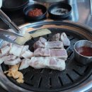 바다를본돼지 - 제주시 정존15길 42 | 바다를본돼지