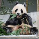 오늘도꽈배기 이미지